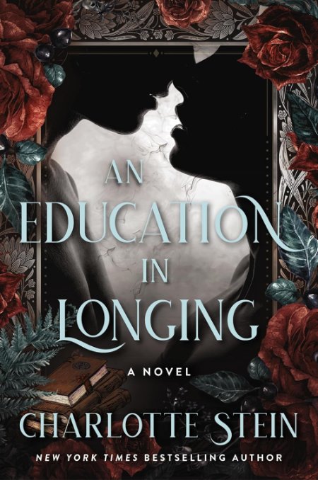 An Education in Longing by Charlotte Stein — book cover